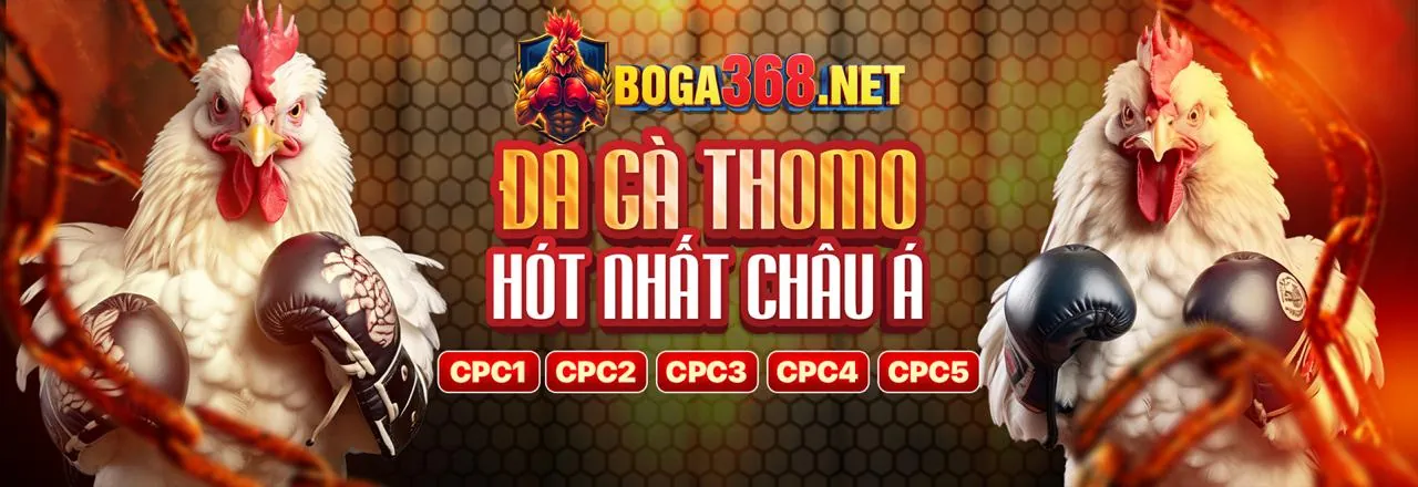 Đá Gà Trực Tuyến Hấp Dẫn tại 55vin link mới nhất